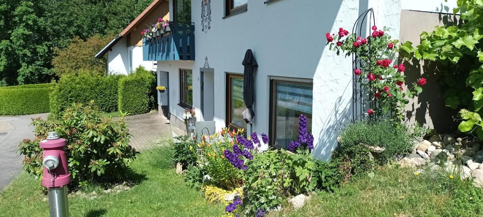 Ferienwohnung Brigachglueck Sankt Georgen im Schwarzwald Ngoại thất bức ảnh