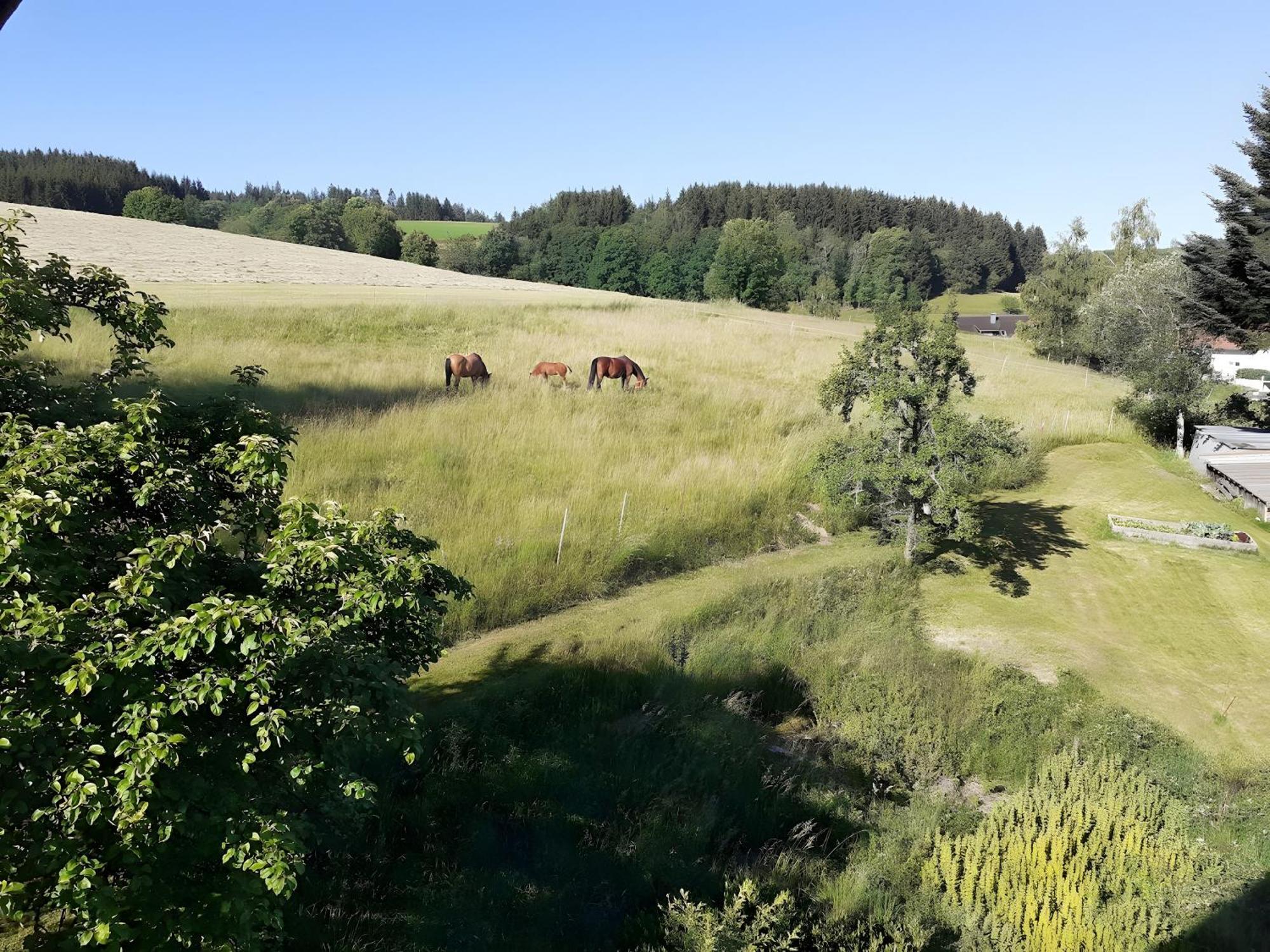 Ferienwohnung Brigachglueck Sankt Georgen im Schwarzwald Ngoại thất bức ảnh